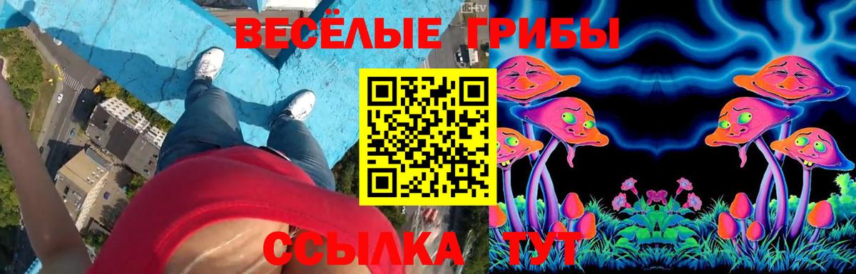 Галлюциногенные грибы Cubensis  Вход с VPN  Железноводск 
