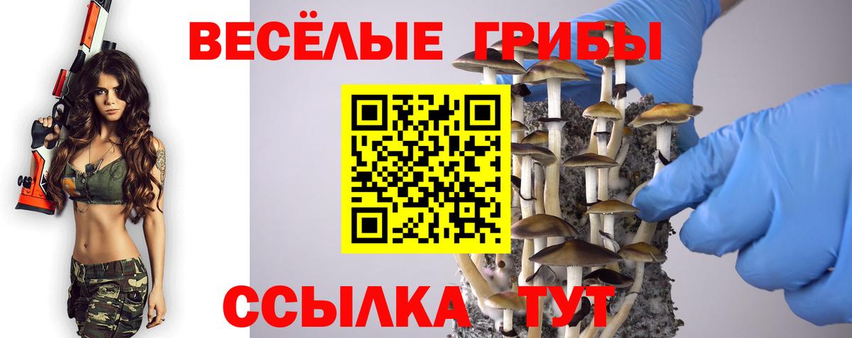 Псилоцибиновые грибы мухоморы Железноводск